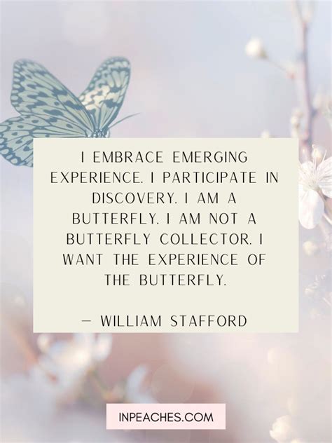 80+ Butterfly Quotes that'll Inspire Transformation - inPeaches