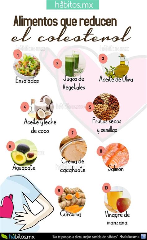 Alimentos que bajan el colesterol malo – Dietas de nutricion y alimentos