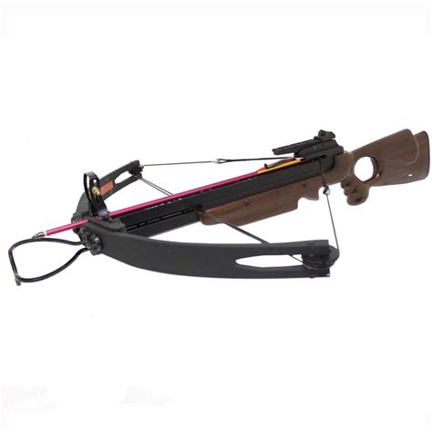 Spider 150 lbs Compound Hunting Crossbow Deer Target Range Archery — WoodsArcheryRange.com ...