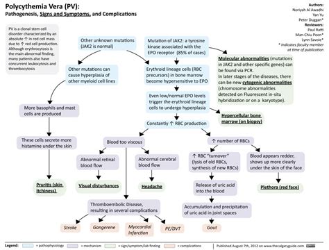 Polycythemia Vera (PV) | Calgary Guide