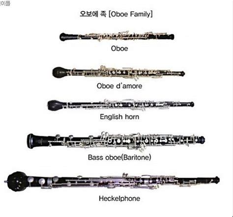 Oboe family - LIAM CRONIN