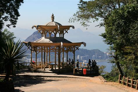 A Guide To Exploring Tijuca Forest, Rio De Janeiro