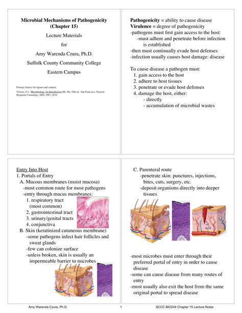 (PDF) Microbial Mechanisms of Pathogenicity