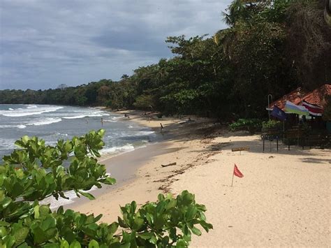 HOTEL Y RESTAURANT NATIONAL PARK CAHUITA - Updated 2024 Reviews & Photos