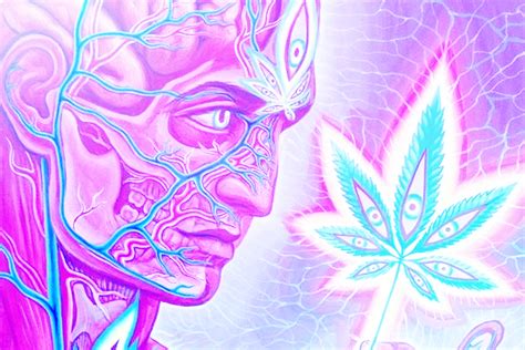 Is Marijuana a Psychedelic? | Psychedelic Spotlight