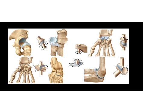 Joint Classification with Examples Quiz