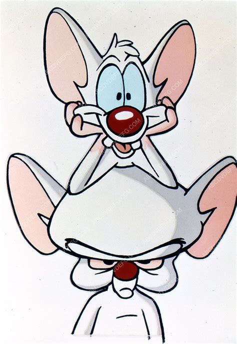 animated cartoon characters TV Pinky and the Brain 35m-6681 | Animated cartoon characters ...