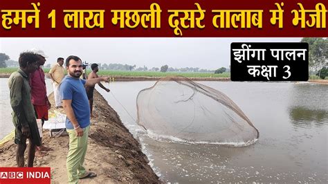 2 लाख मछली हमारे पास | Fish transfer technique | Jhinga fish farming ...