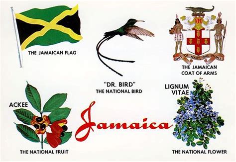 Jamaica | National symbols, Jamaica national, Jamaica culture