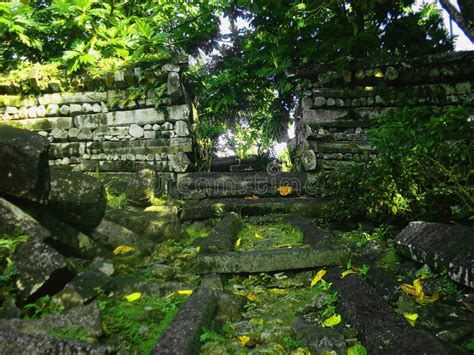 Nan Madol Ruins In Micronesia Stock Photo - Image of trees, micronesia: 41459766