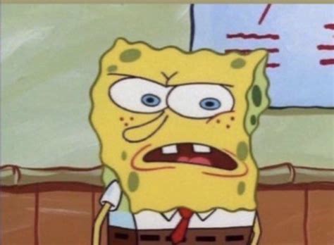 Reaction pic | Spongebob funny, Cute memes, Spongebob memes