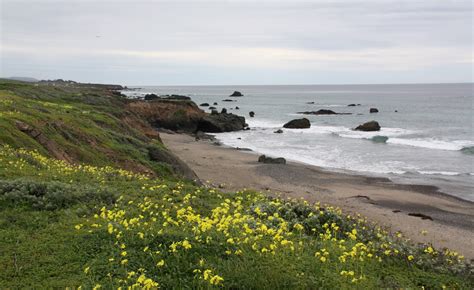 Best Beaches that Tourists Miss in Big Sur - California Beaches