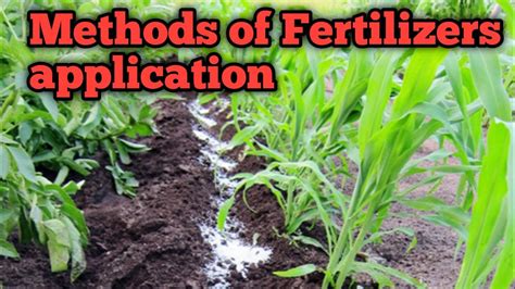 Methods of Fertilizer Application | How to apply fertilizers ...