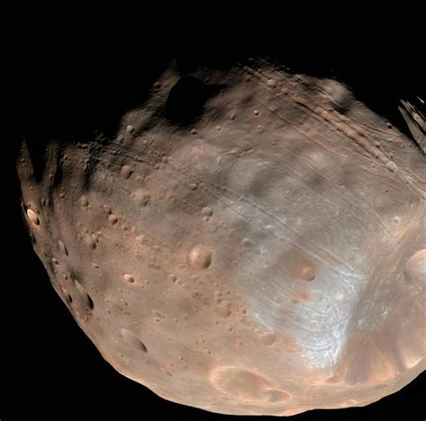 Mars' Moon Phobos Photobombs NASA's Hubble Space Telescope