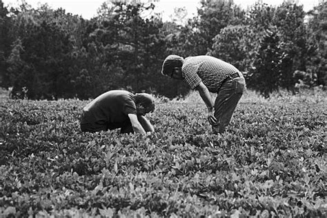 Peanut farmer to president: Jimmy Carter’s 98th birthday | WSAV-TV