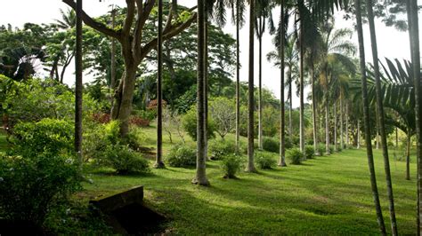 Lagoons & Beaches in Mayotte - Opulent Routes