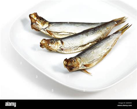 Sprat fish hi-res stock photography and images - Alamy