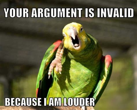 Download Funny Bird Meme Picture | Wallpapers.com