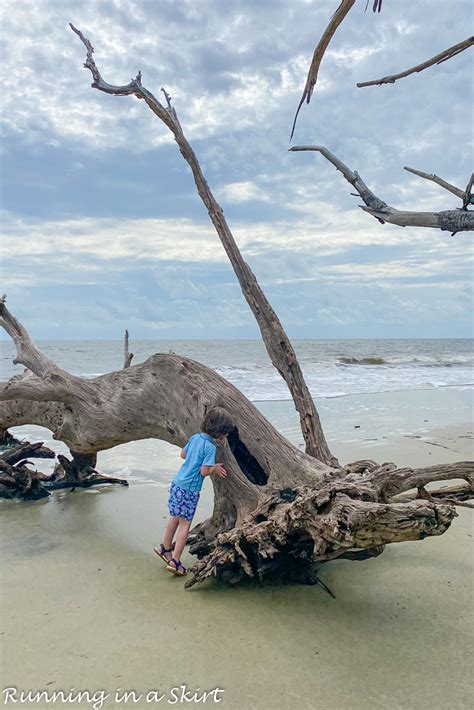 Driftwood Beach Jekyll Island « Running in a Skirt