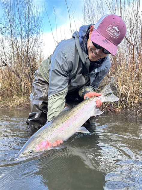 Trinity River Fishing Report | AC Fly Fishing