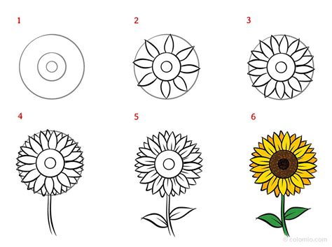 Sunflower Drawing How to draw a Sunflower