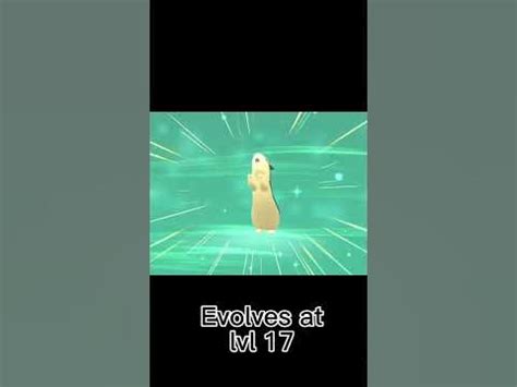 Cyndaquil’s evolution line - YouTube