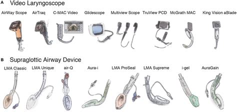 Frontiers | Difficult Airway Management in Neonates and Infants: Knowledge of Devices and a ...