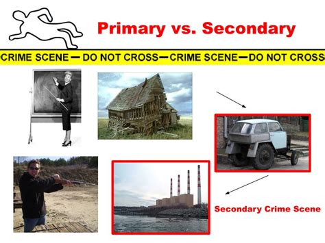 PPT - THE CRIME SCENE PowerPoint Presentation, free download - ID:1552728