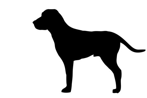 Dog Black Silhouette Free Stock Photo - Public Domain Pictures