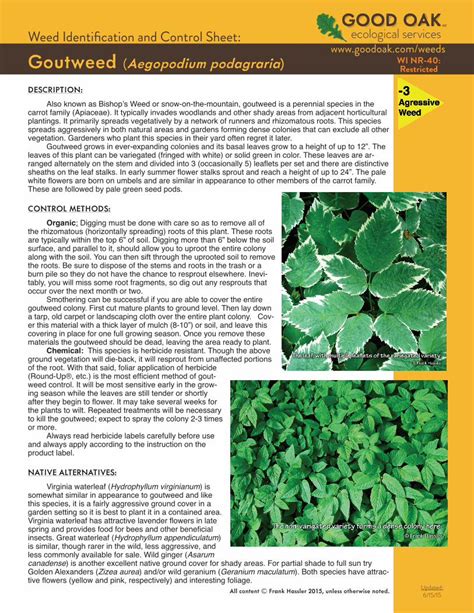 (PDF) Weed Identification and Control Sheet: Goutweed ...goodoak.com/info/weeds/goutweed.pdf ...