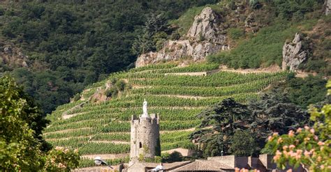 Wine 101: French Wine Regions: Northern Rhône | VinePair