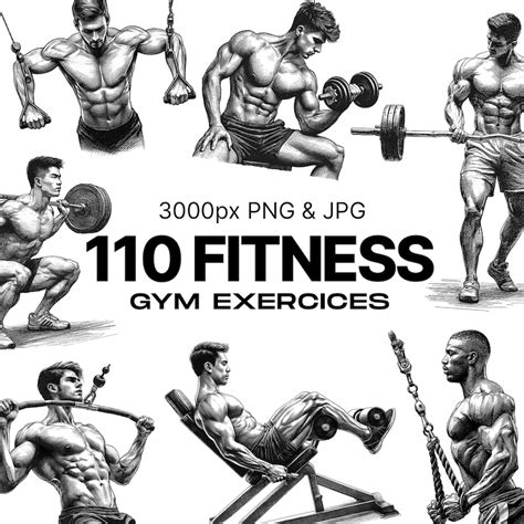 Fitness Gym Exercises Illustration, Men Workout Images, Transparent PNG ...