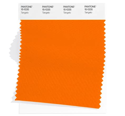 Spring/Summer 2023 NYFW Color Palette Revealed in 2022 | Color trends fashion, Pantone, Nyfw