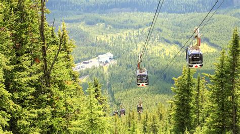 Banff Gondola, Banff - Book Tickets & Tours | GetYourGuide.com