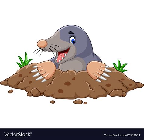 Cartoon mole come out hole Royalty Free Vector Image