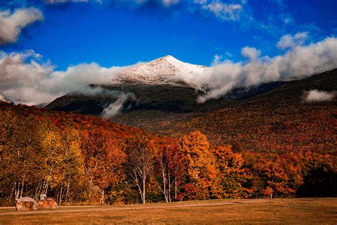 Bright Morning Fall Foliage At The Foot Of Mount Washington Photograph ...