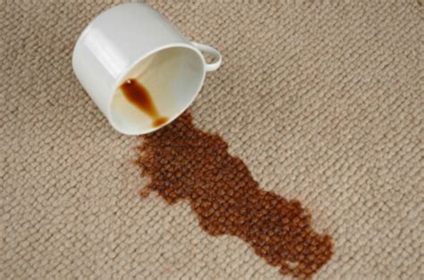 Stain First Aid Help Get the Coffee Stains Out - Williamson Source