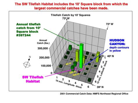 PPT - Hudson Canyon Shelf Tilefish Habitat Areas PowerPoint ...