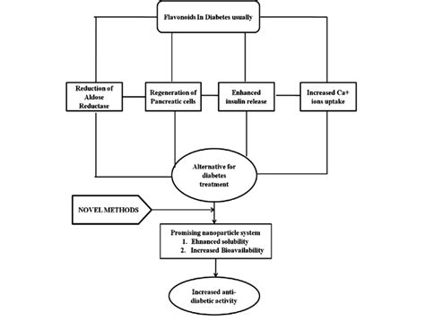 Flavonoids function in diabetes mellitus. | Download Scientific Diagram