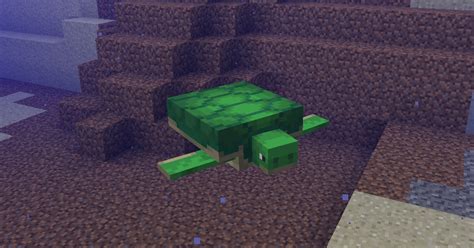 Minecraft: How-to Breed Turtles - Babies, Scutes, and Hatching Eggs ...