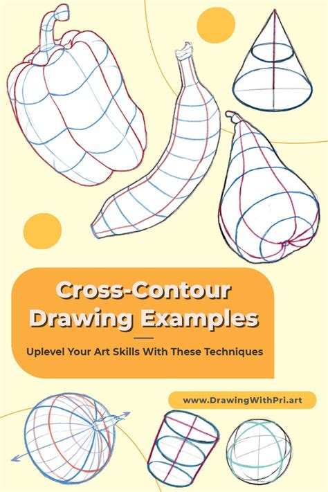 the cross - contour drawing examples for beginners to learn how to draw ...