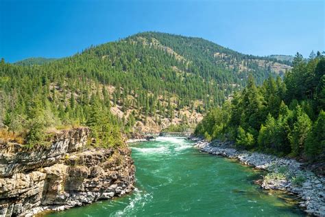 7 Best National Forests in Montana | PlanetWare