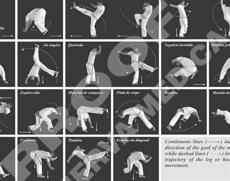 The main movements adopted in the Basic programmed lesson of capoeira ...