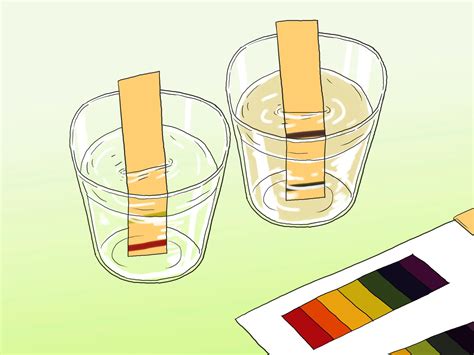 Blog & Journal | What Are The Methods To Test pH Level In Water? | Blog & Journal