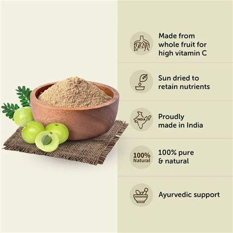 Amla Powder Offers Several Health Benefits - My Health Only