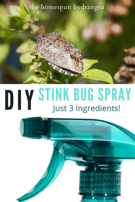 Homemade Stink Bug Repellent Spray