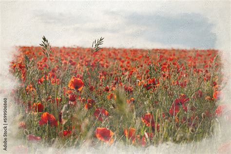 A digital watercolour painting of A red poppy field at sunset in the ...