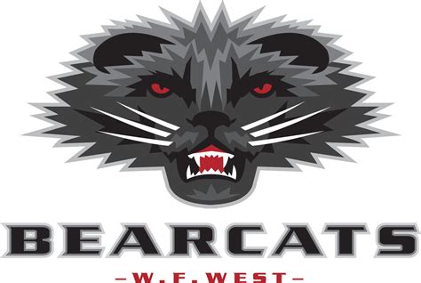 New Bearcat Logo Is Here to Stay — for Now | The Daily Chronicle