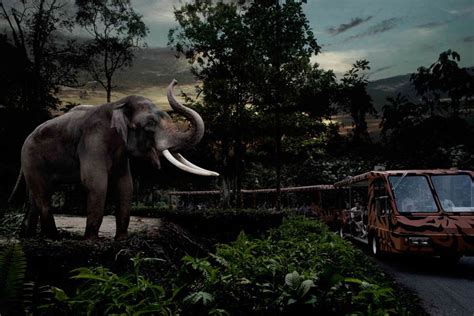 Experience the Adventure of Night Safari in Singapore 2024