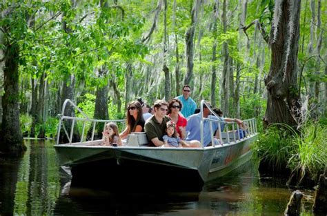 Where to See Alligators in and Around New Orleans